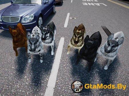 Dog Mod v1.0 для GTA V