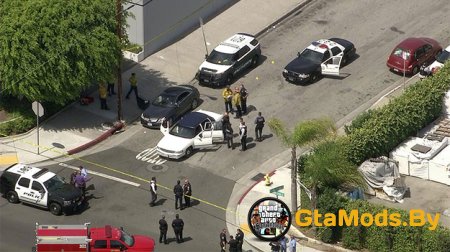 Фанат GTA устроил гонки с полицейскими после очередной игры